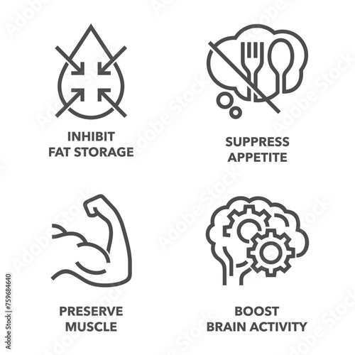 Bold minimalism icons set for nutrient supplements