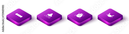 Set Isometric Chicken egg in box, Runny nose, Parasite mite and Crab icon. Vector