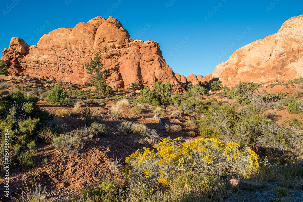 Sunny day in Arches National Park near Moab in Utah. The park contains more than 2000 natural sandstone arches.