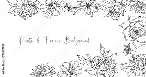 Luxury botanical background with trendy wildflowers and minimalist flowers for wall decoration or wedding. Hand drawn line herb, elegant leaves for invitation save the date card. Botanical