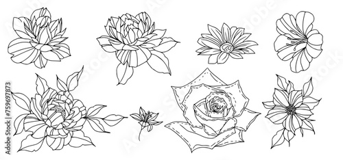 Botanical floral mockup illustration