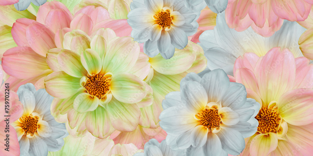 Seamless floral background. Flowers peonies and petals peonies. Close up. Seamless floral background. Flowers peonies and petals peonies. Close up.