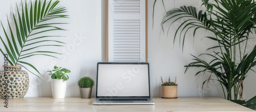 Front view of laptop on work table with white wall background, isolated with clipping path. photo