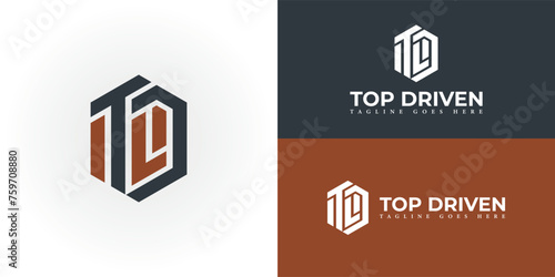Abstract letter TD, DT, T, and D Letter Logo Design Vector in black and brown color isolated on a white background. Letter TD or DT in black color applied for the boardroom and sailing adventure logo