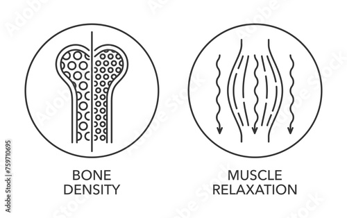 Magnesium icons - Bone Density, Muscle Relaxation