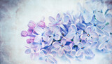 Floral spring background.  Vintage watercolor background of lilac flowers.  Close-up. .Lilac bunch.