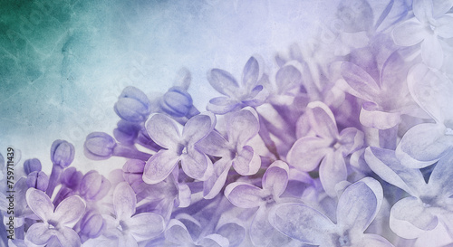 Floral spring background. Vintage watercolor background of lilac flowers. Close-up. .Lilac bunch.