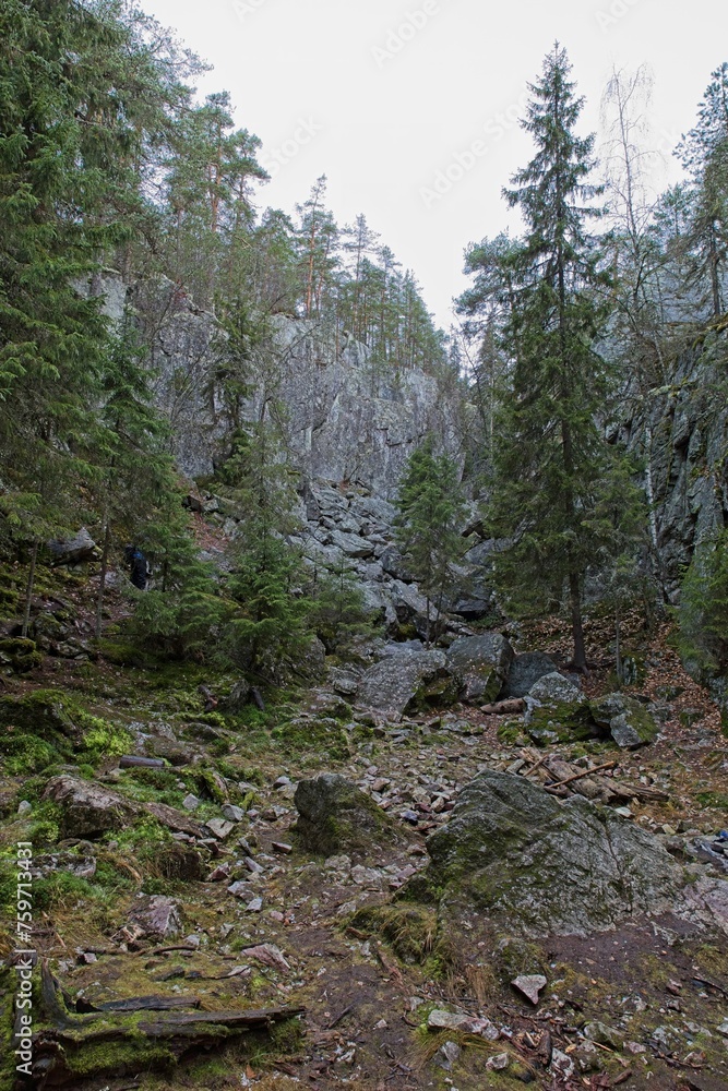 Pirunpesä (Devil´s Nest) is a gorge cutting through the quartzite bedrock at Tiirasmaa nature reserve, Hollola, Finland.