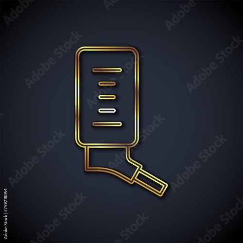 Gold line Automatic drinker for small pets icon isolated on black background. Vector