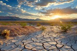 The cracked dry earth of a desert landscape