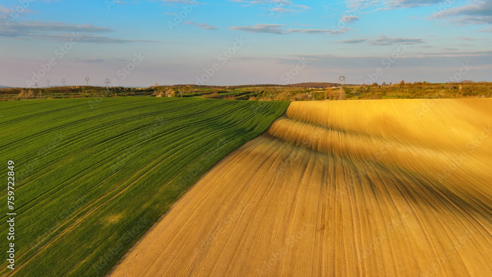 Fototapeta premium Green wavy hills with agricultural fields