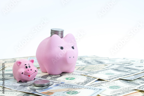 Pink piggy bank, dollars on a white background. savings concept, fundraising. coins