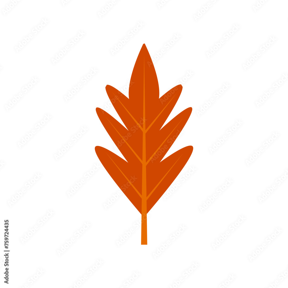 leaves isolated on white leaves isolated on white