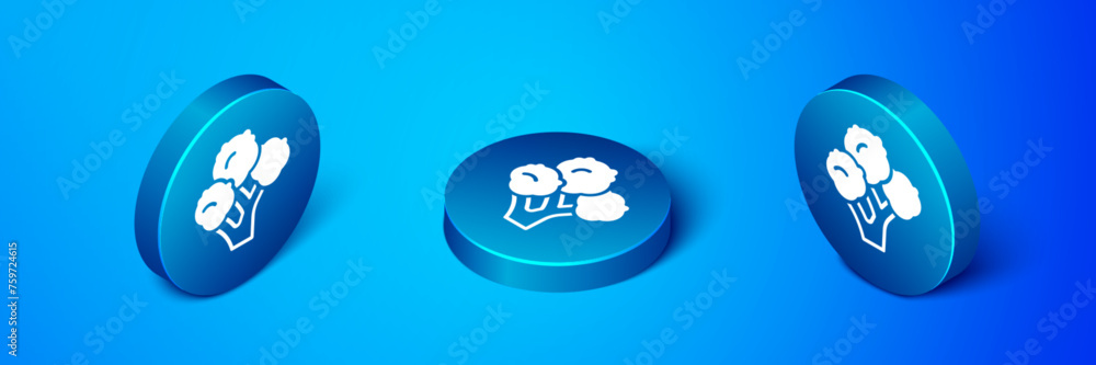 Isometric Broccoli icon isolated on blue background. Blue circle button. Vector Isometric Broccoli icon isolated on blue background. Blue circle button. Vector