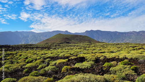 Volcanic landscape at Badlands or Malpais de Guimar special nature reserve, Tenerife, Canary Islands photo