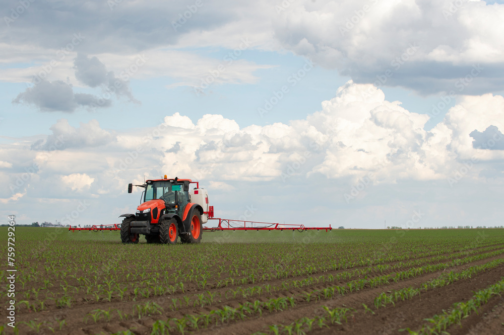 Fototapeta premium Tractor spraying pesticides at corn fields