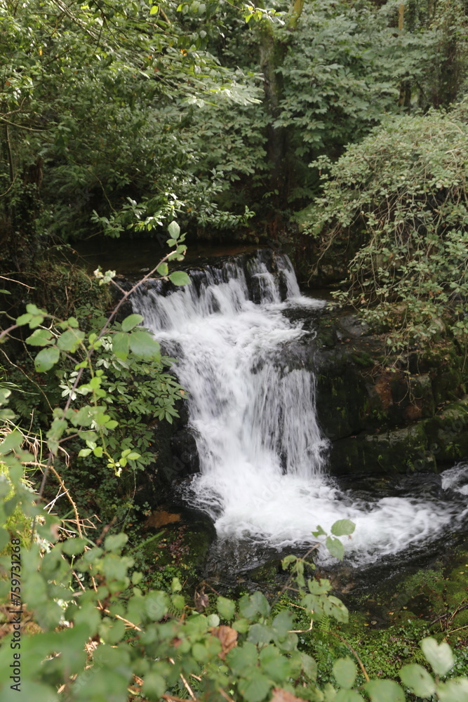 Cascada Cascada