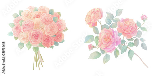 cute bouqet of rose watercolour vector illustration