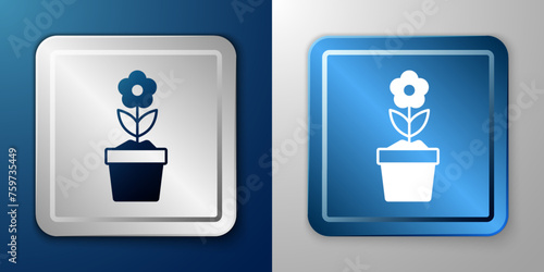 White Flower in pot icon isolated on blue and grey background. Plant growing in a pot. Potted plant sign. Silver and blue square button. Vector