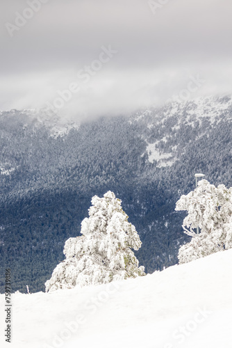 Wallpaper Mural snowy landscapes of Puerto de Navacerrada in the Sierra de Guadarrama in Madrid in the month of March 2024 Torontodigital.ca