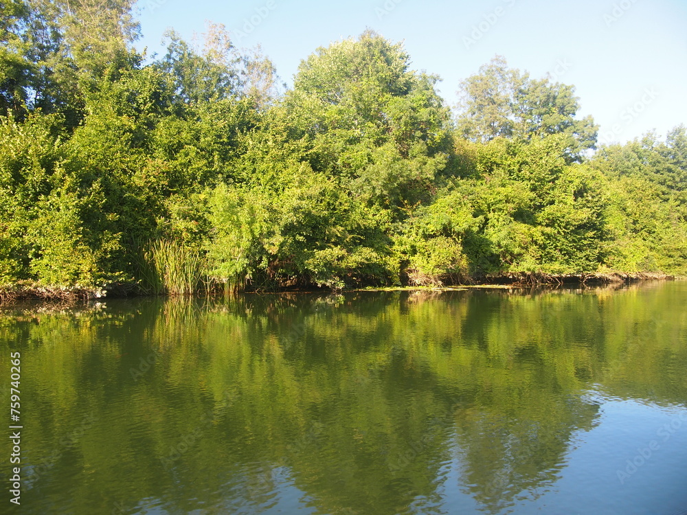 Veleka River (Strandzha Nature Park, Burgas Province, Republic of Bulgaria) Veleka River (Strandzha Nature Park, Burgas Province, Republic of Bulgaria)