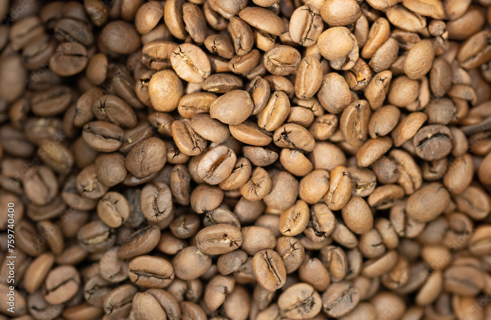 Roasted Medium Coffee Beans Texture Background Roasted Medium Coffee Beans Texture Background