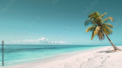 A minimalist photograph of a tropical beach, with palm trees, white sand, and turquoise water © olegganko