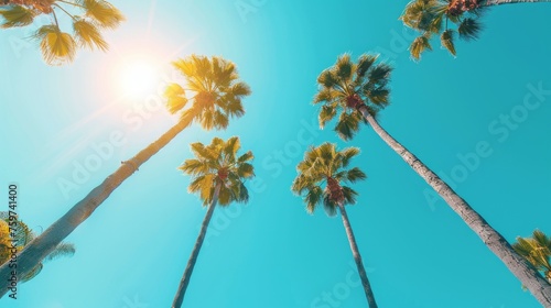 A minimalist composition of tall palm trees against a bright blue sky © olegganko