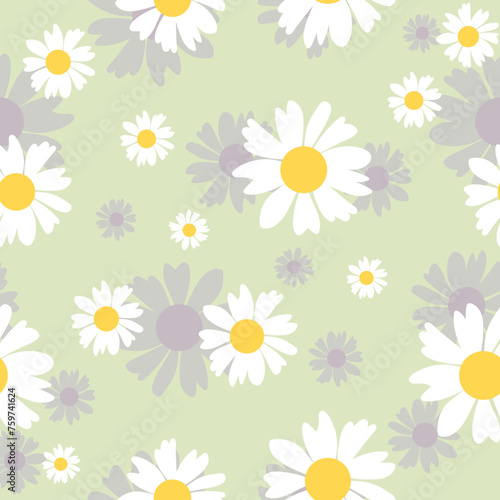 Floral chamomile seamless pattern. Botanical fabric print template. Vector illustration with white camomile flowers.