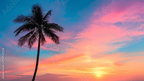 A minimalist silhouette of a palm tree against a colorful tropical sunset sky