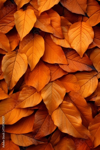 A pile of orange and yellow leaves scattered on the ground, embodying the ess...