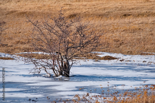 Russia, South of Eastern Siberia. View of the frozen lake in the early spring morning along the federal highway Siberia.