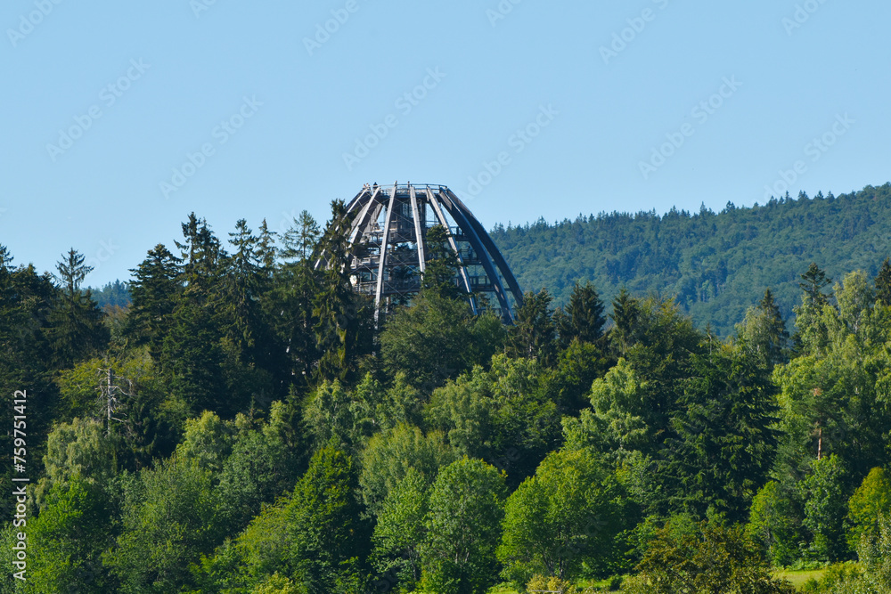 Fototapeta premium Bayerischer Wald, Aussichtsturm des Wipfelpfades