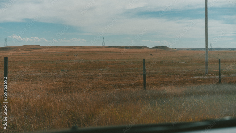 Obraz premium Wyoming Landscape