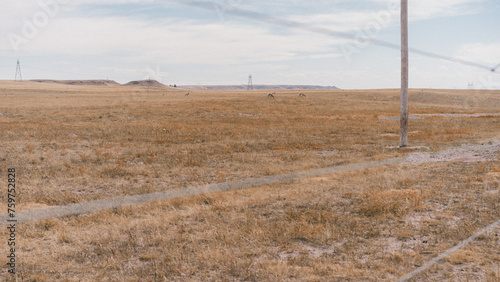Wyoming Landscape