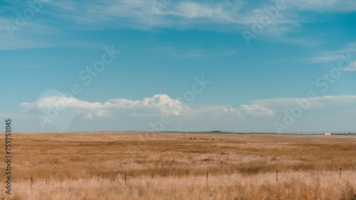 Wyoming Landscape photo