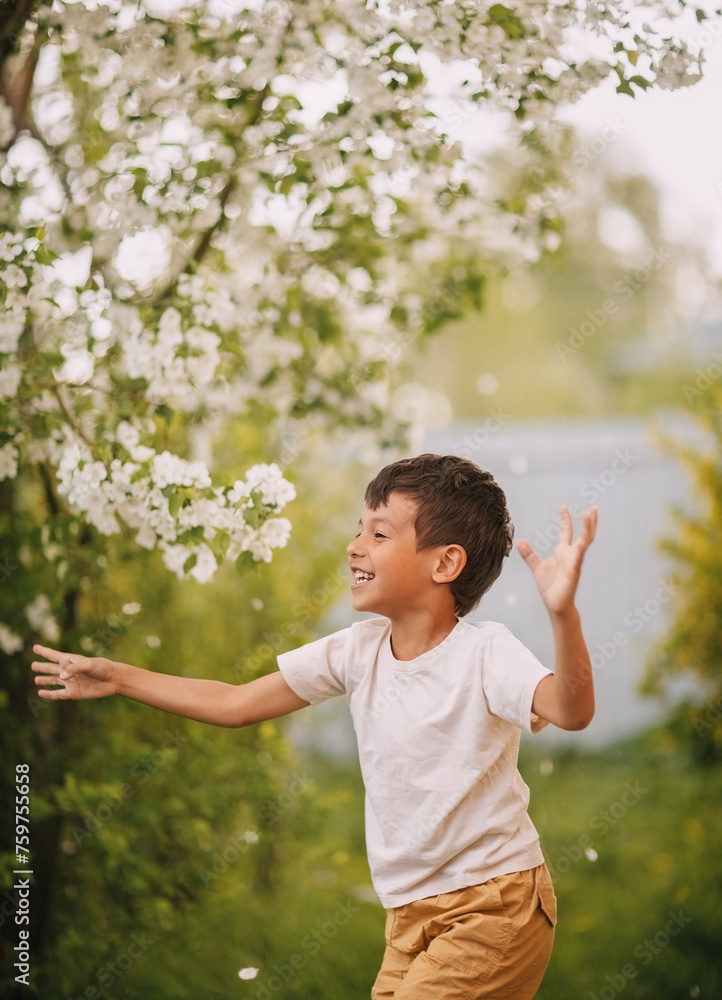 A boy plays with petals from a flowering tree A boy plays with petals from a flowering tree