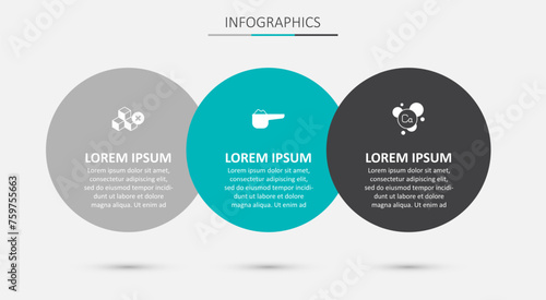 Set Sports nutrition proteine, No sugar free and Calcium. Business infographic template. Vector