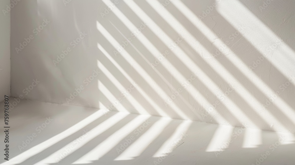 Branch with Leaves Casting Shadows on White Wall Branch with Leaves Casting Shadows on White Wall