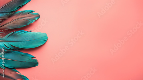 Turquoise bird feathers on a light pink background with copysapace for text photo