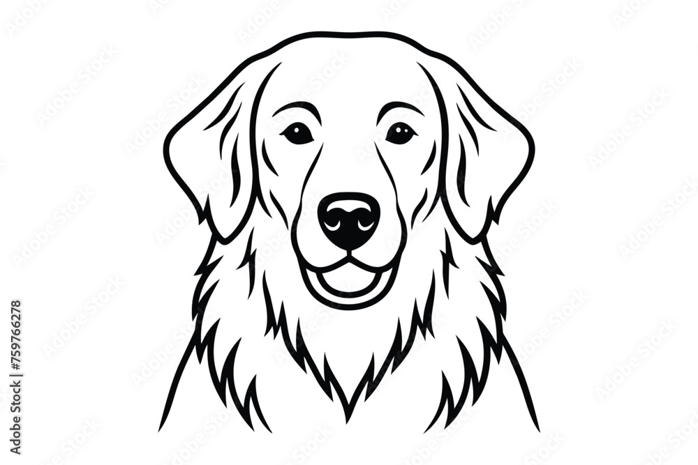 an exhibition golden retriever looks at the camera vector illustration .eps