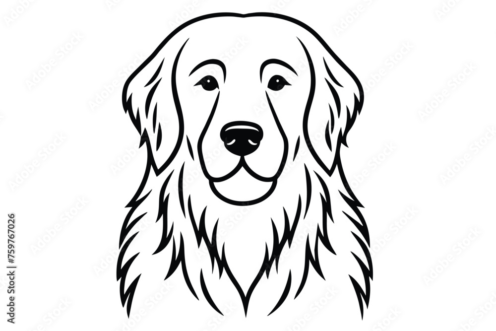 an exhibition golden retriever looks at the camera vector illustration 8.eps