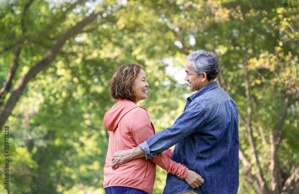 rear view of romantic senior couple looking each other and smile while taking a walk in nature in the park,concept health benefits of nature in elderly and family relationship rear view of romantic senior couple looking each other and smile while taking a walk in nature in the park,concept health benefits of nature in elderly and family relationship