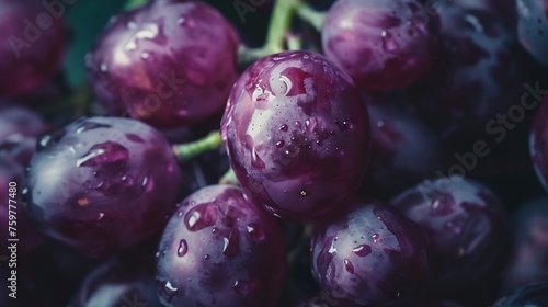 Generative AI : Close-up of sustainable purple grapes directly from the garden and without plastic.