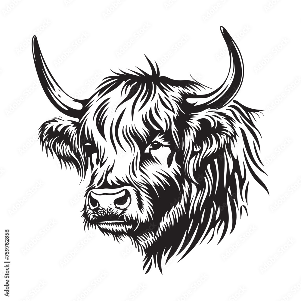 Highland Cow Images Vector Highland Cow Images Vector