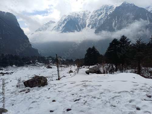Fotografie A Snowy Winter at North Sikkim, India