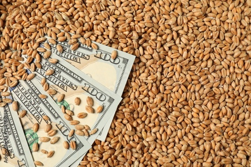 Dollar banknotes on wheat grains, top view. Agricultural business