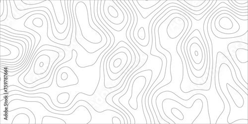Abstract topographic contours map background. Topographic map and landscape terrain texture grid. Terrain map illustration  Topo contour map on white background  Topographic contour lines.