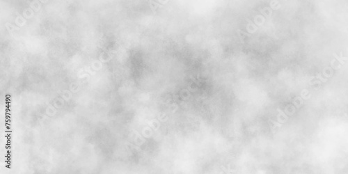 White and gray watercolor background texture design .abstract white and gray watercolor painting 
background .Abstract panorama banner watercolor paint creative concept .