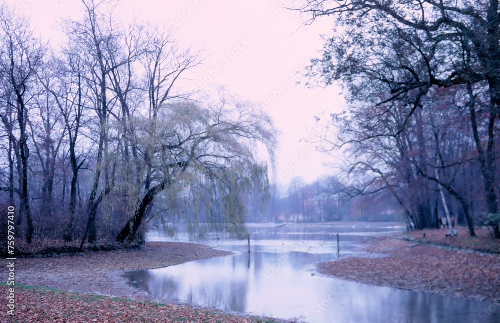 Naklejka premium English Garden in Winter - Munich